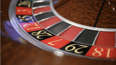 Explore Hollywood Through Online Casinos – Hollywood Life